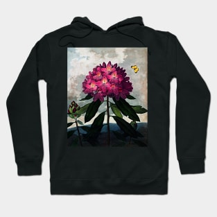 Botanical Art Temple Of Flora Rhododendron Hoodie